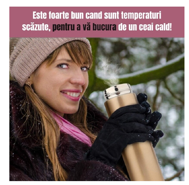 Termos smart cu afisaj led , afisarea temperaturii,  pastreaza bautura fierbinte sau rece timp de 12 ore, otel inoxidabil, capacitate 500 ml Auriu